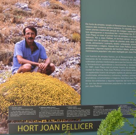 Exposició temporal "Joan Pellicer. La saviesa de les nostres plantes"