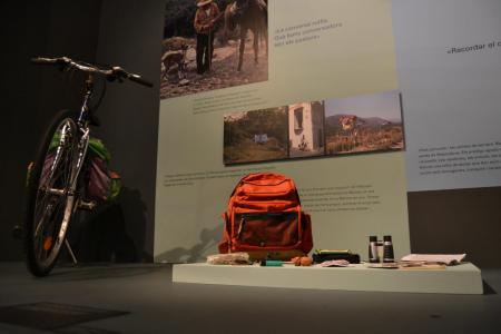 Exposició temporal "Joan Pellicer. La saviesa de les nostres plantes"